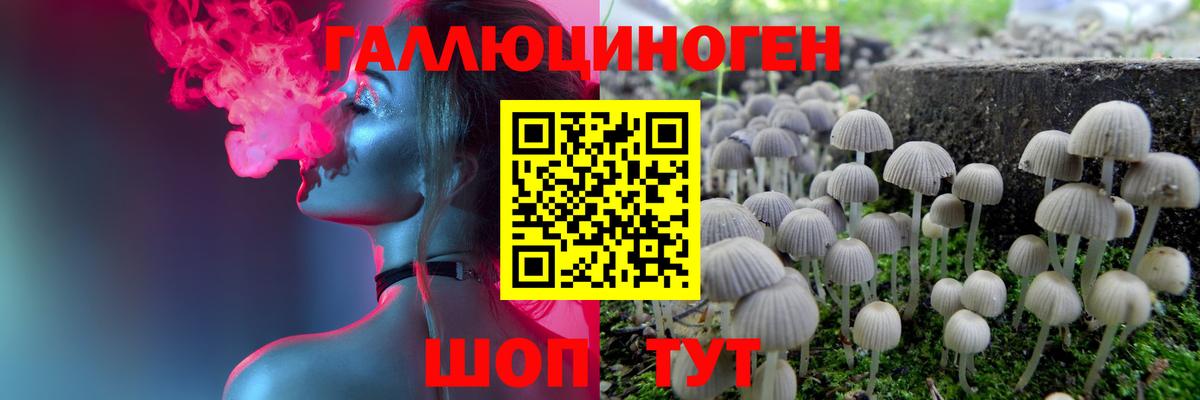 Галлюциногенные грибы Cubensis Элиста