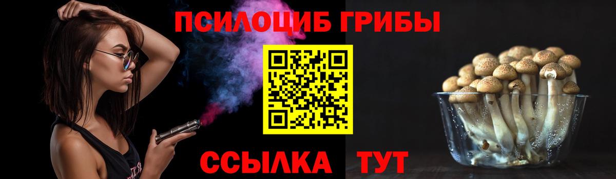 Элиста  Галлюциногенные грибы Psilocybe  Вход с VPN 