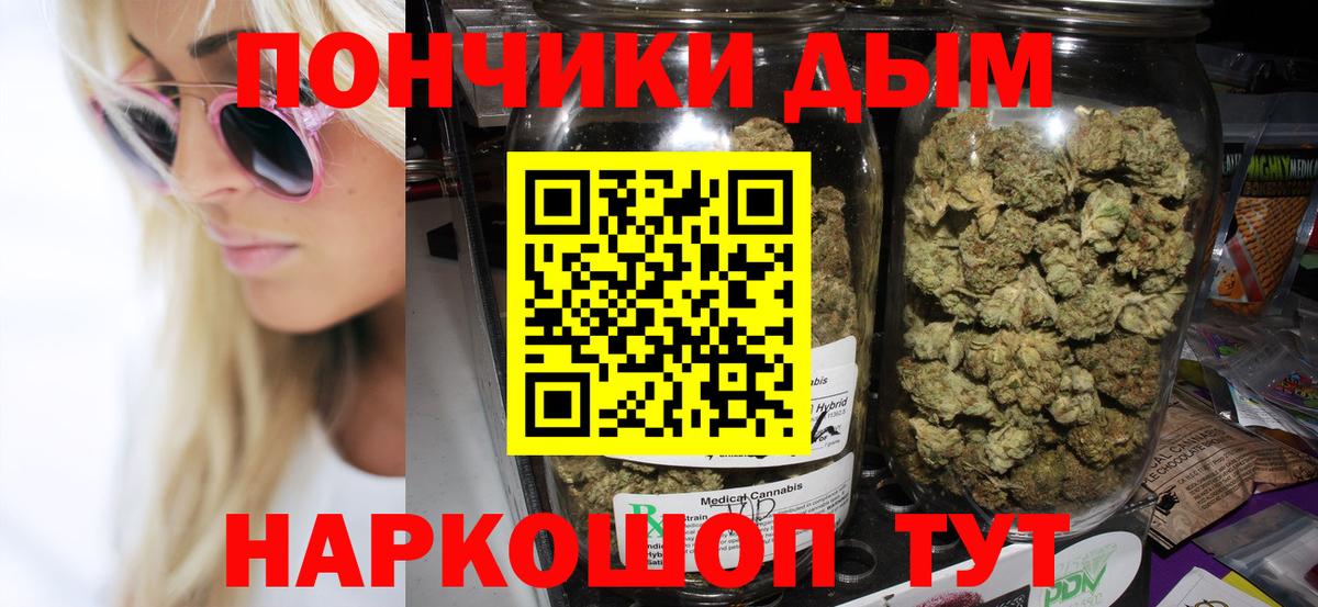 Элиста  Канабис ГИДРОПОН  Вход с VPN  Бошки марихуана план  Шишки марихуана White Widow  Марихуана THC 21% 
